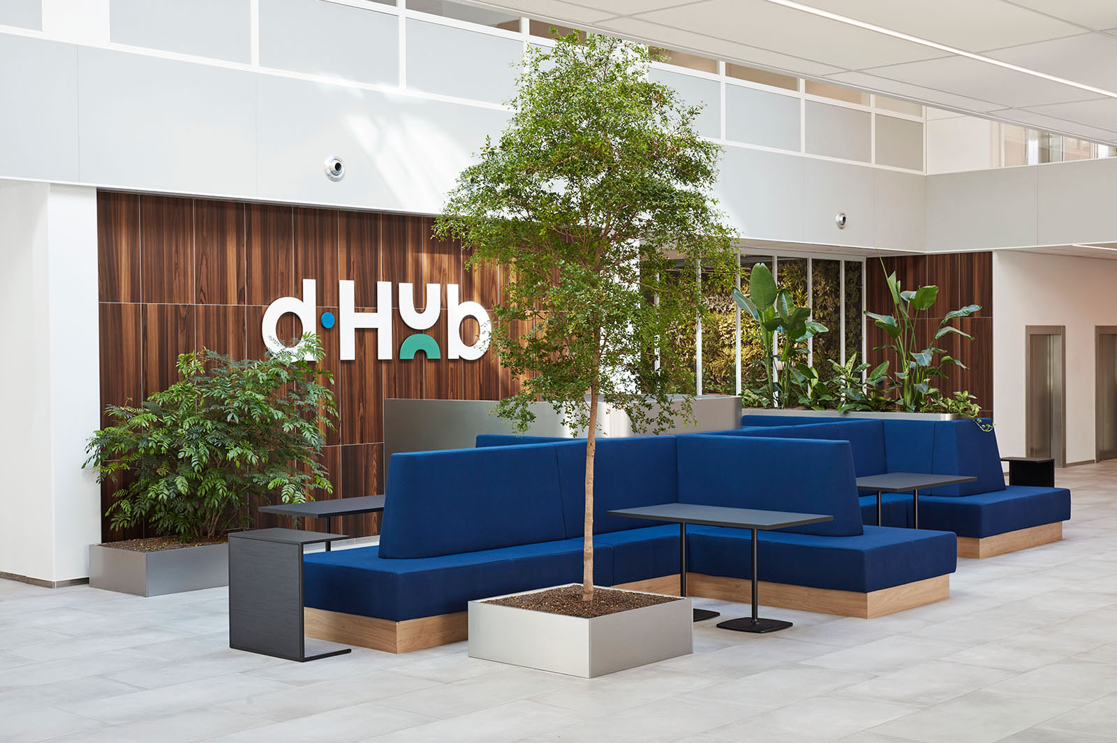 dhub lounge